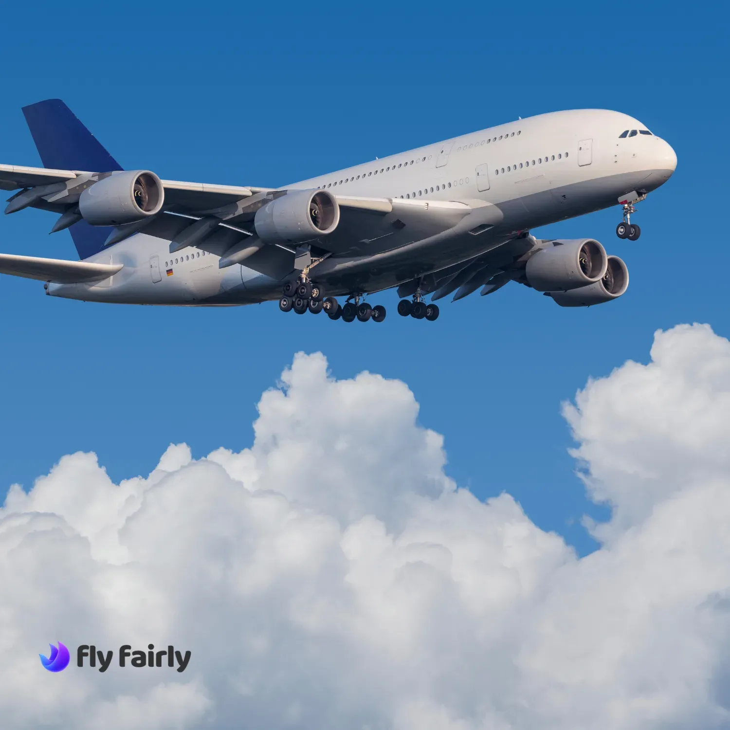 ✈️ 执飞空客飞机的航空公司
