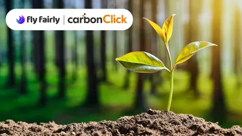 🌱 追加アドオンのページで「カーボンオフセット」を追加